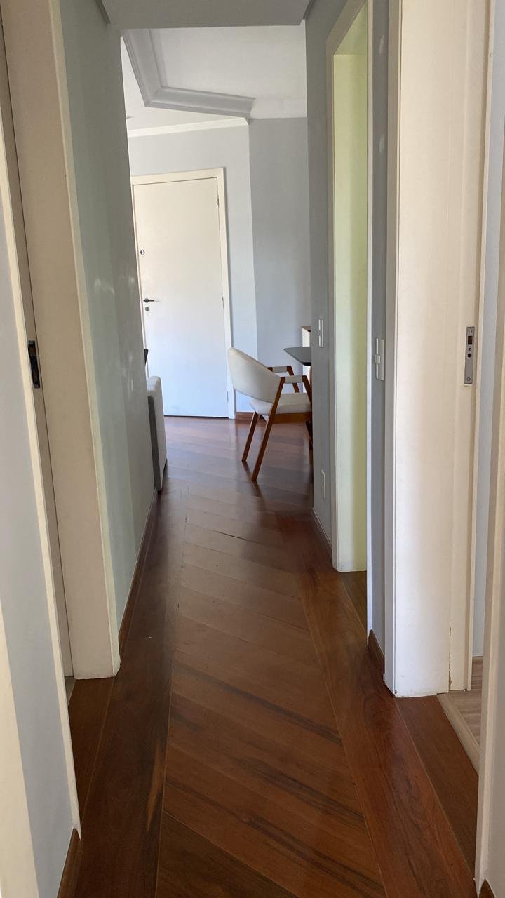 edifício das avencas vila mascote edifício das avencas vila mascote