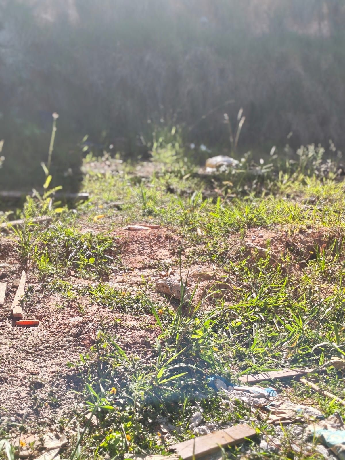 terreno diadema terreno diadema