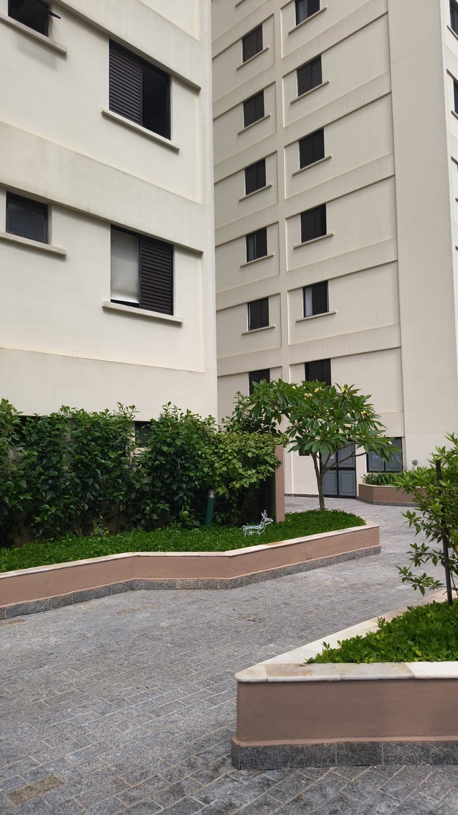 edifício gemini vila mascote edifício gemini vila mascote