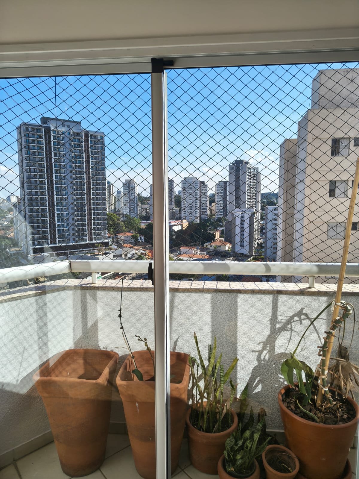 edifício sunrise andar 11 av. mascote são paulo sp edifício sunrise andar 11 av. mascote são paulo sp
