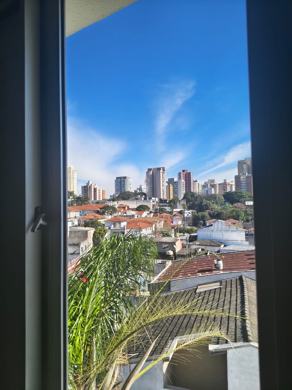 condomínio carolina vila paulista condomínio carolina vila paulista